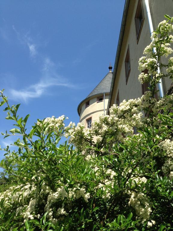 Ev.Familienferien-Und Bildungsstaette Ebernburg Hotel Bad Münster am Stein-Ebernburg Екстериор снимка